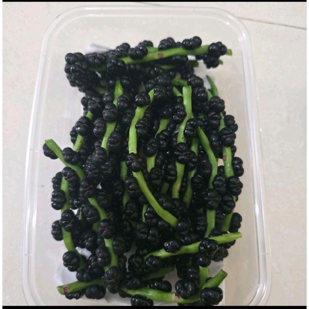 buah angkung segar organik