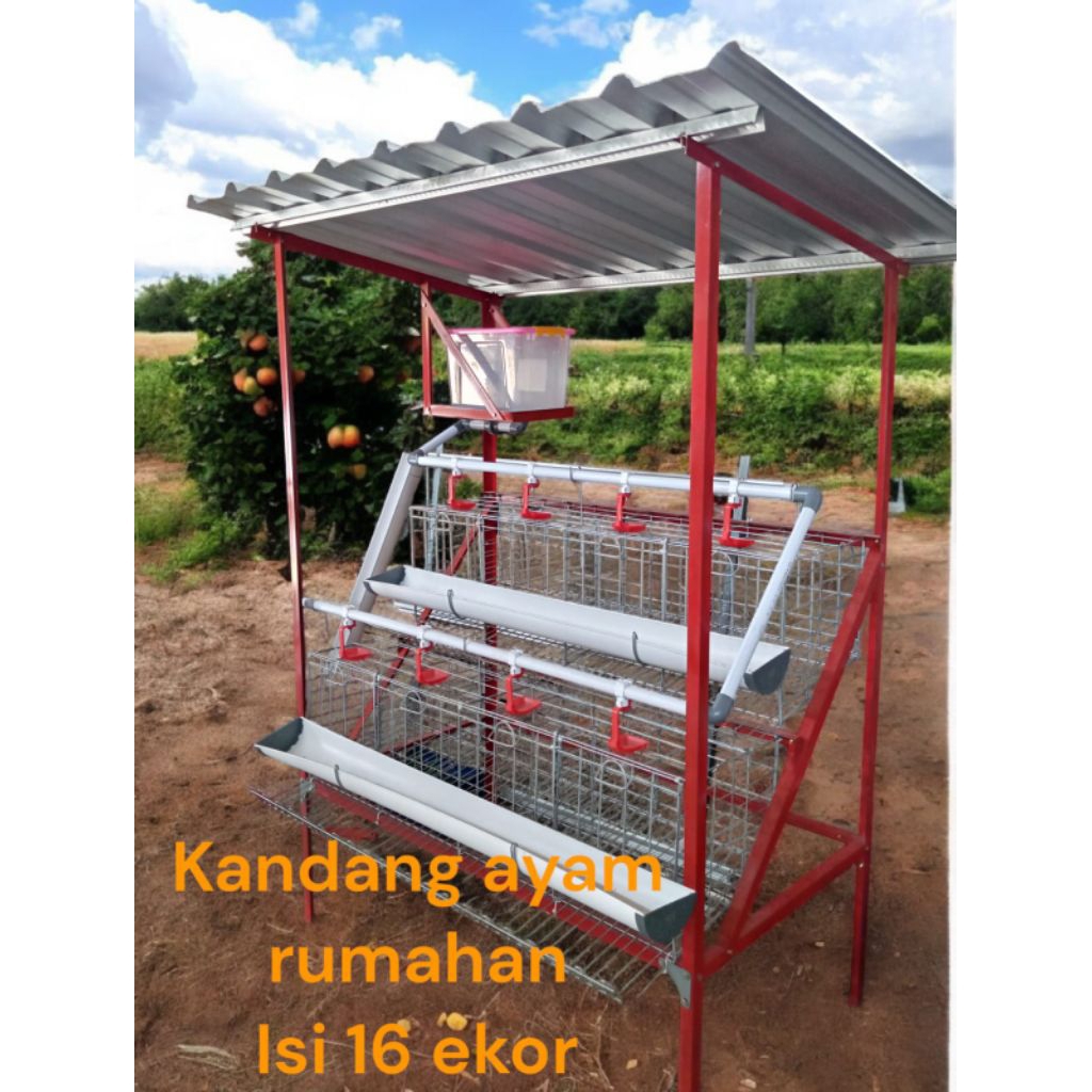 Kandang Ayam petelur full set