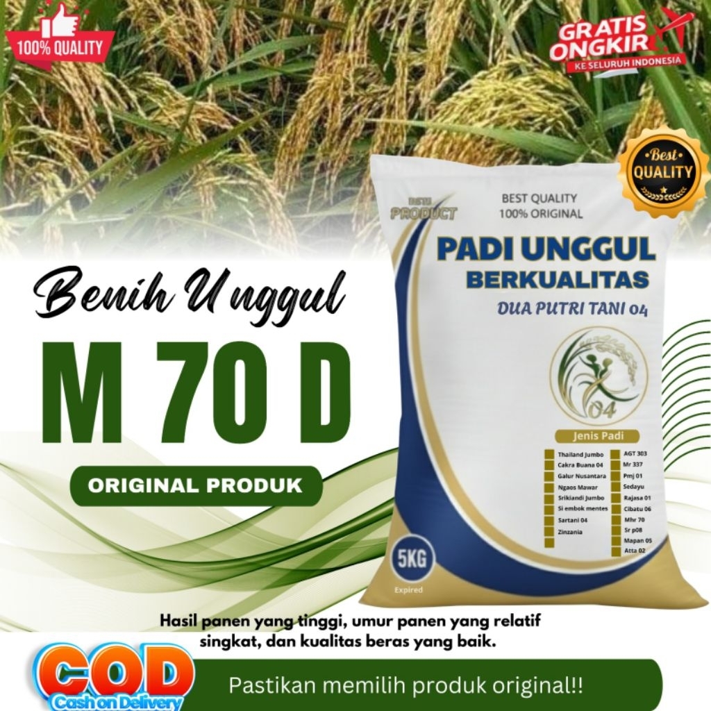 Benih Padi Unggul M 70 D Kemasan 5kg