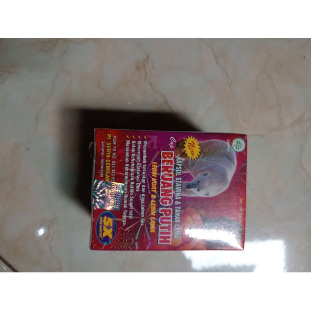 beruang putih