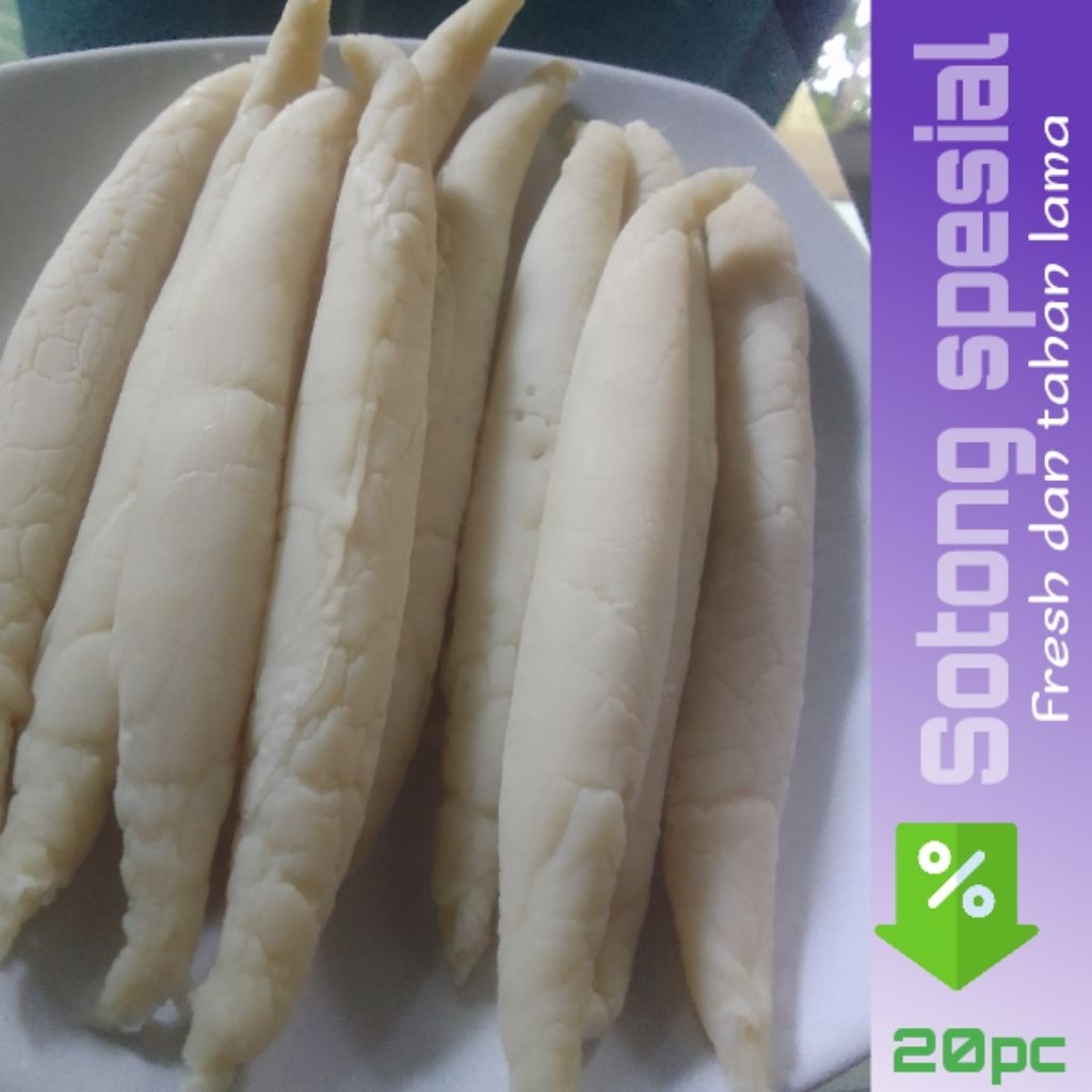 sotong tahu bulat /renyah,gurih dan nikmat 20 PC  (tekstur lebar dan segar)