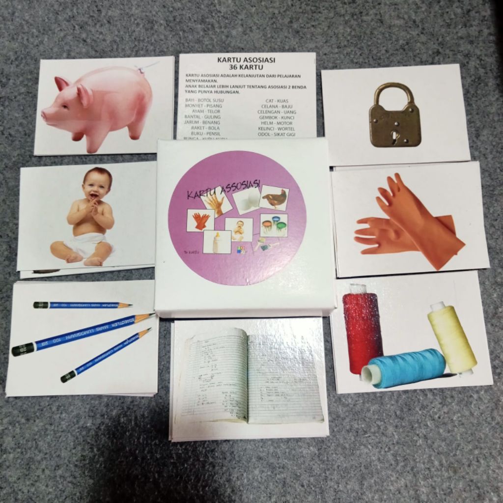 [BLUETOYS] Kartu Assosiasi/IQ Development/Kartu Terapi Wicara Perilaku Autis