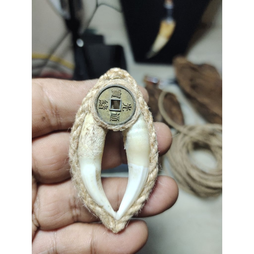 Kalung Liontin Taring Buaya (Bungkem)