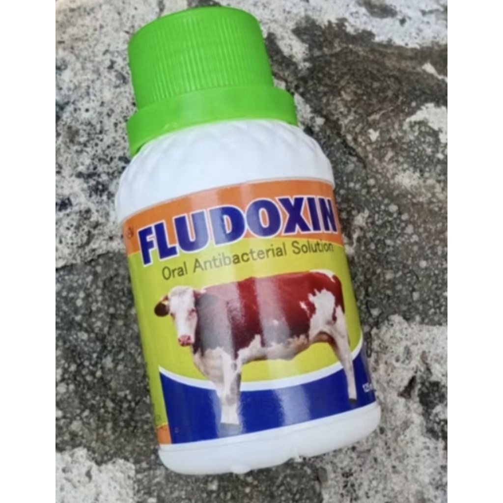 Fludoxin obat batuk pilek asma hewan sapi kambing fludoxan