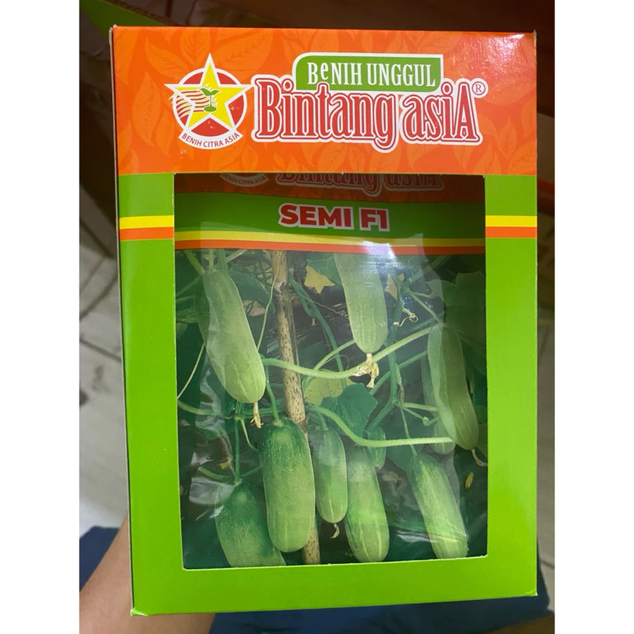 SEMI F1 - Benih timun SEMI F1 (20gr)- Bibit timun beby kecil bintang asia ini