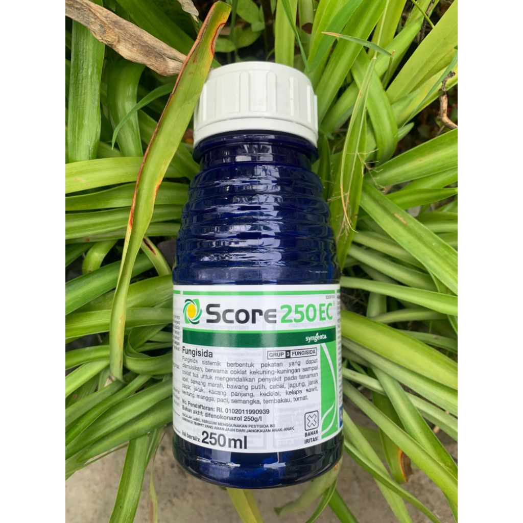 Fungisida SCORE 250EC 250ML ORIGINAL
