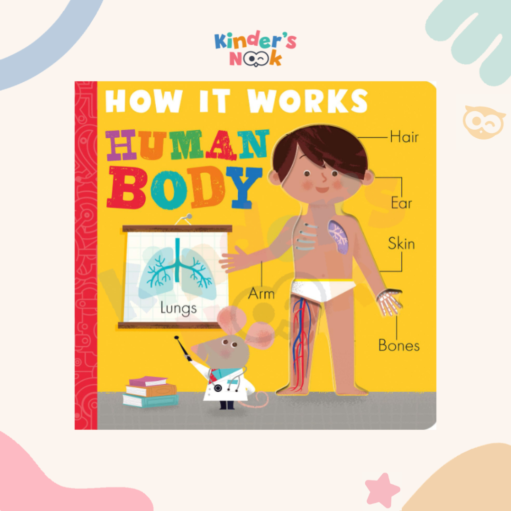 [Kinder's Nook] How It Works: Human Body - Buku Anak Impor - Imported Children's Book