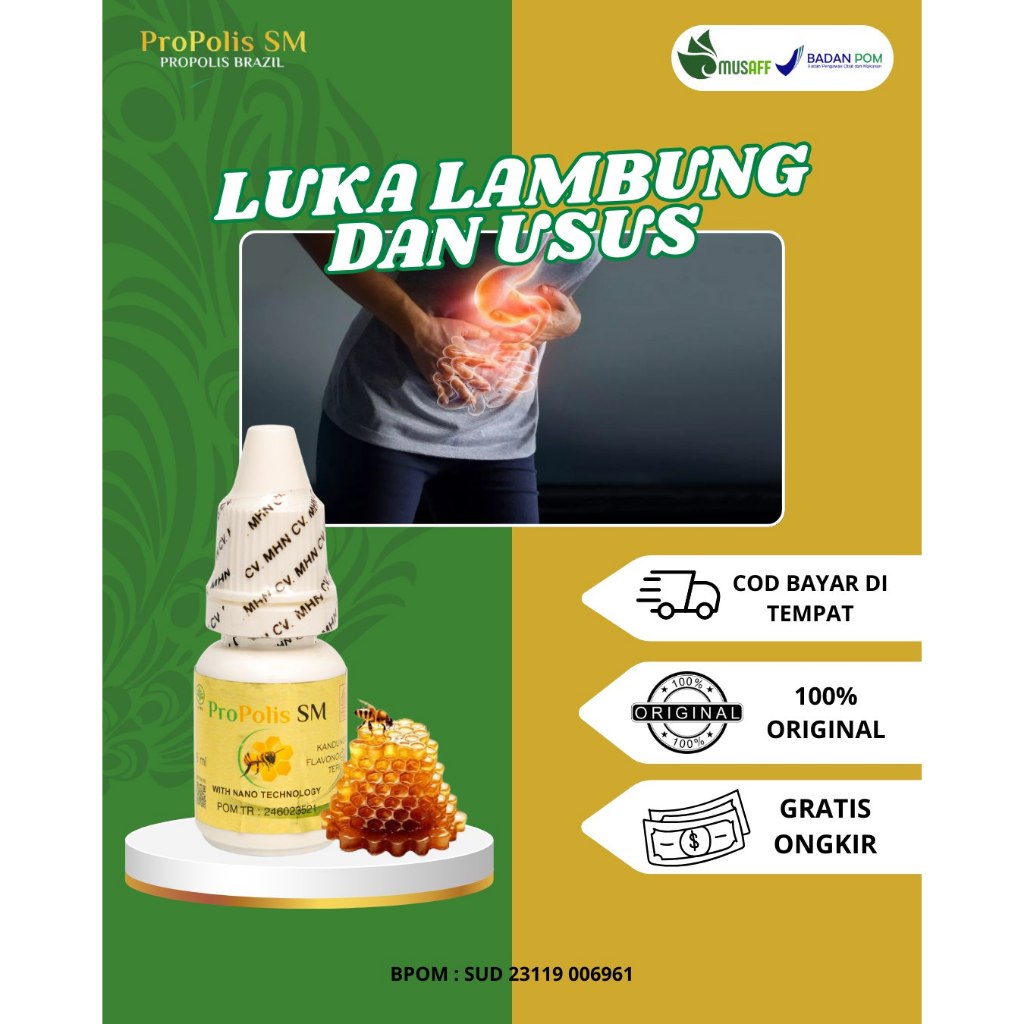 Obat Luka Lambung Dan Usus, Obat Luka Lambung, Obat Lambung Luka Kronis, Obat Lambung Luka