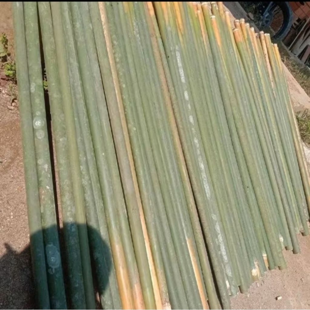Bahan Suling Asli Bambu Tamiang 1Biji Asli
