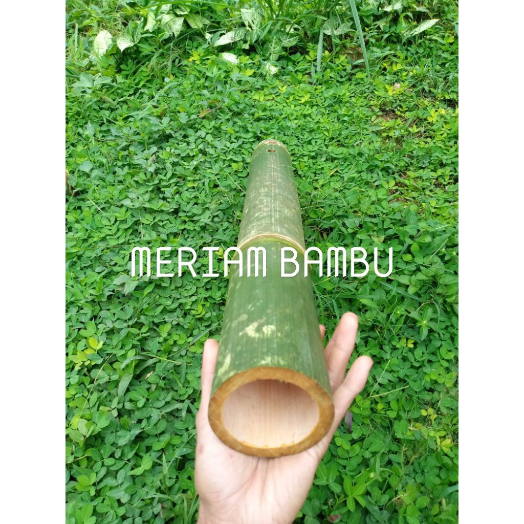 Meriam bambu,meriam karbit/meriam minyak mainan tradisional