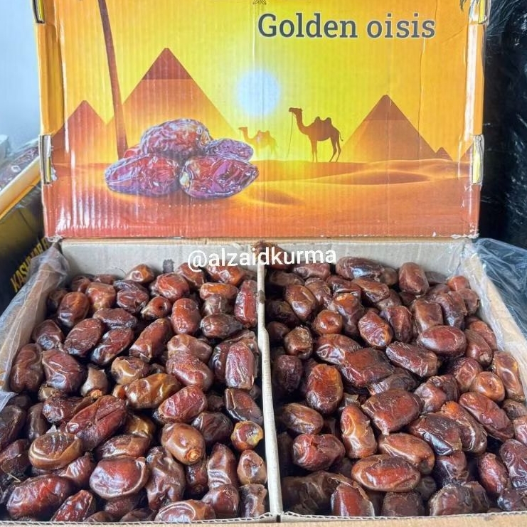 Kurma Mesir Kurma Golden Kurma Mesir Orit Premium