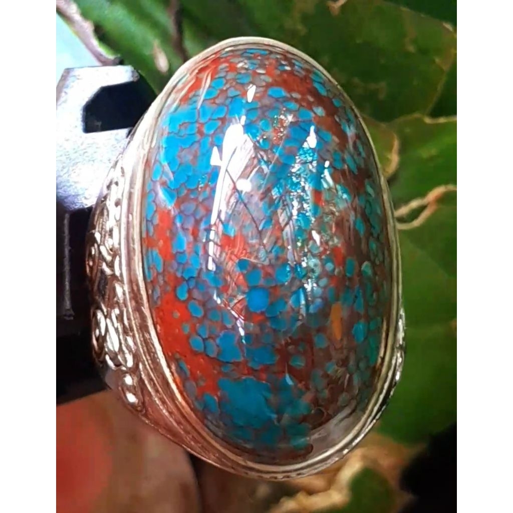 Pirus Persia royal blue beras wutah size jumbo mumbul HQ