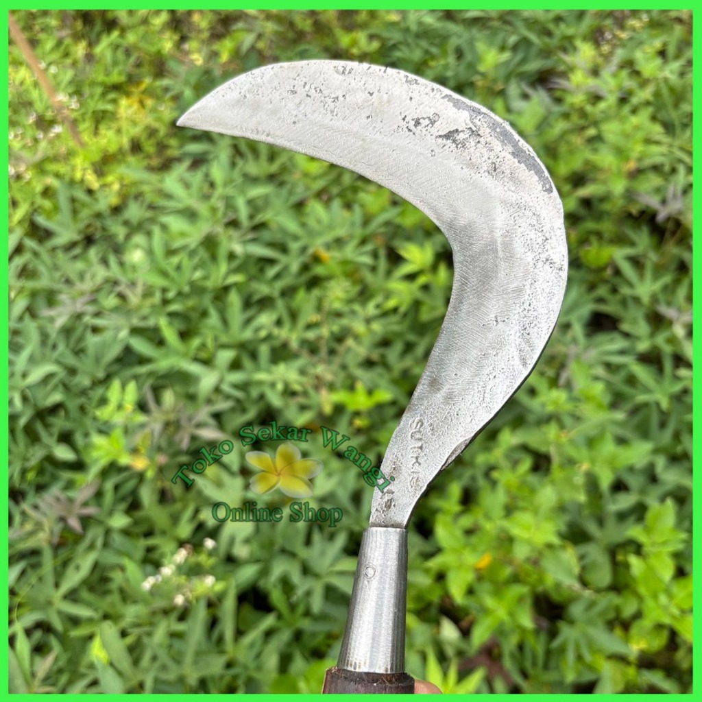 Toko Sekarwangi Sabit Arit Pengaritan Rumput Baja Putih Super Tajam