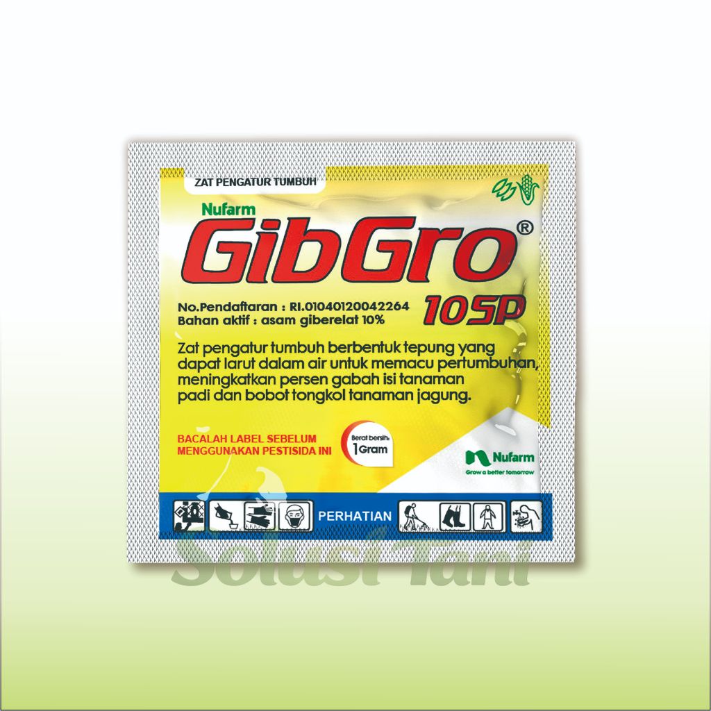 ZPT Gibgro 10SP Mempercepat Pertumbuhan Dan Pembesar Buah padi