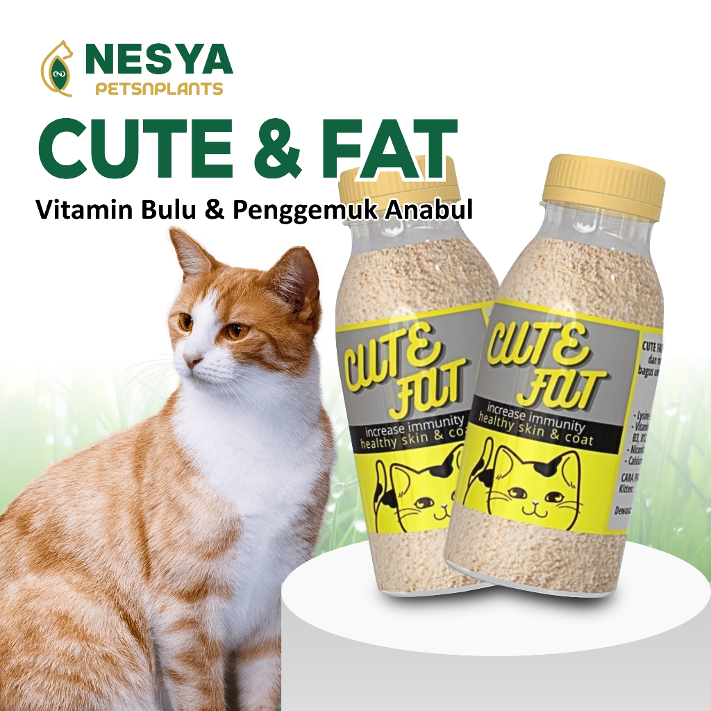 CUTE FAT Vitamin Penggemuk dan Bulu Kucing Lysine Penumbuh Bulu Kucing