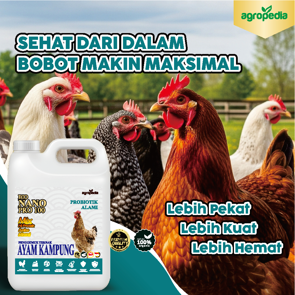 Bio Nano Pro 100 Suplemen Booster Probiotik AYAM KAMPUNG / meningkatkan bobot ternak / mempercepat p
