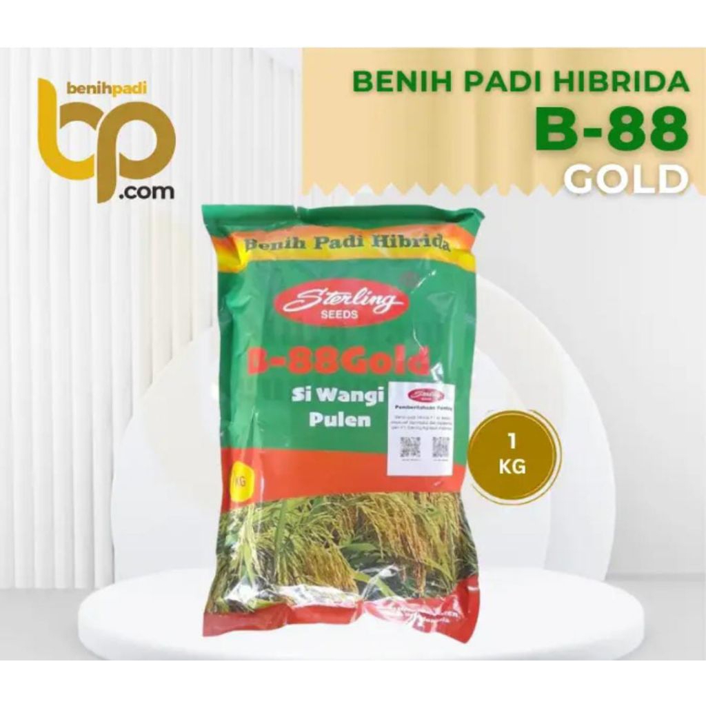 1KG Benih padi hibrida STERLING B-88 GOLD kualitas terjamin 100% bibit