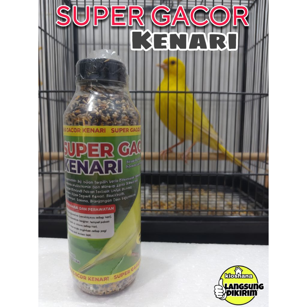 pakan burung kenari SUPER GACOR