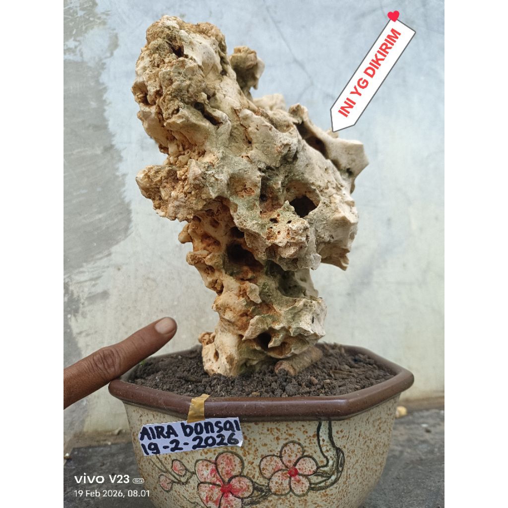 batu karang gunung super