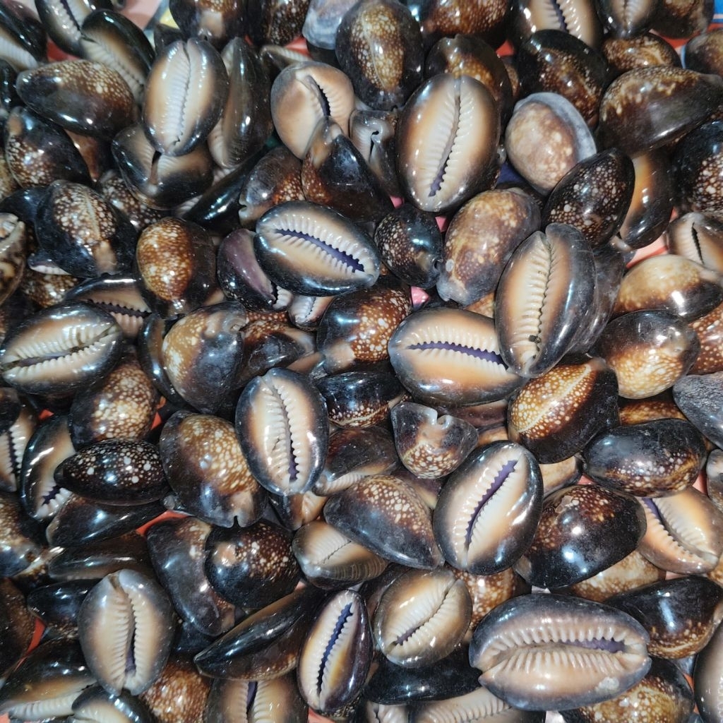 100gram / kuwuk hitam / kuwul mainan / kuwuk bekel
