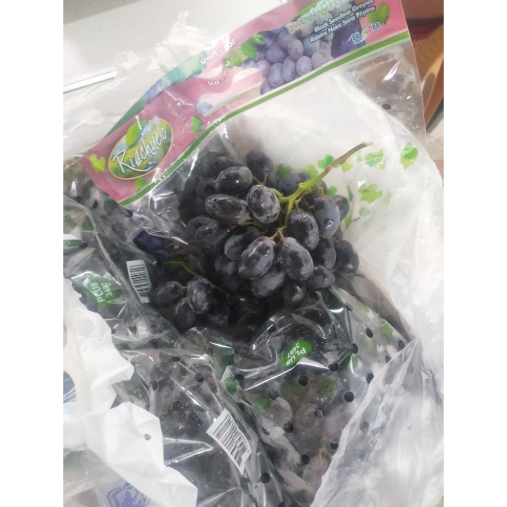 anggur hitam autumn Royal AUSTRALIA