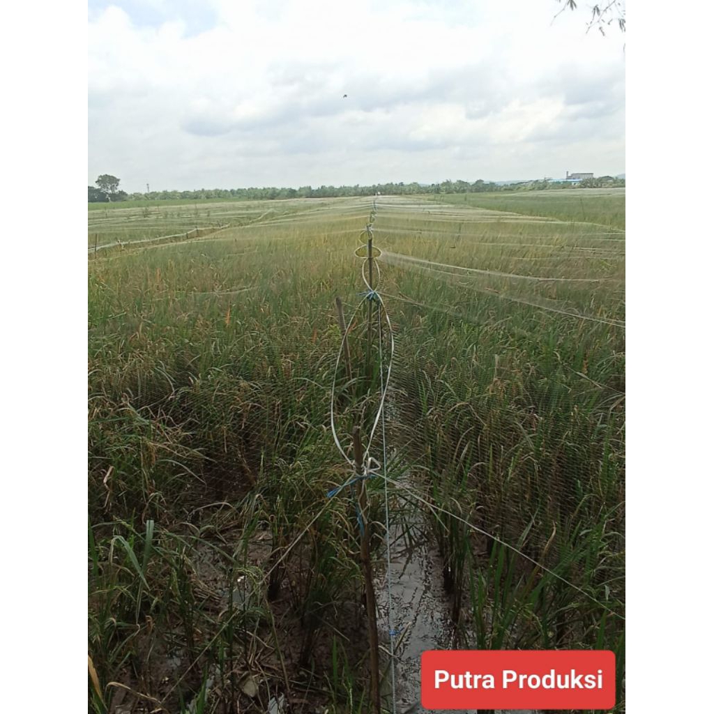 JARING BURUNG~JARING PENGAMAN PADI~JARING BURUNG EMPRIT