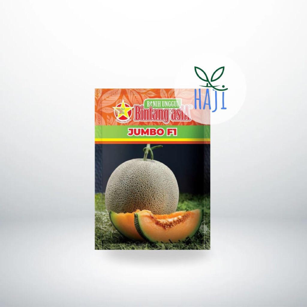 JUMBO F1 - MELON DAGING ORANGE