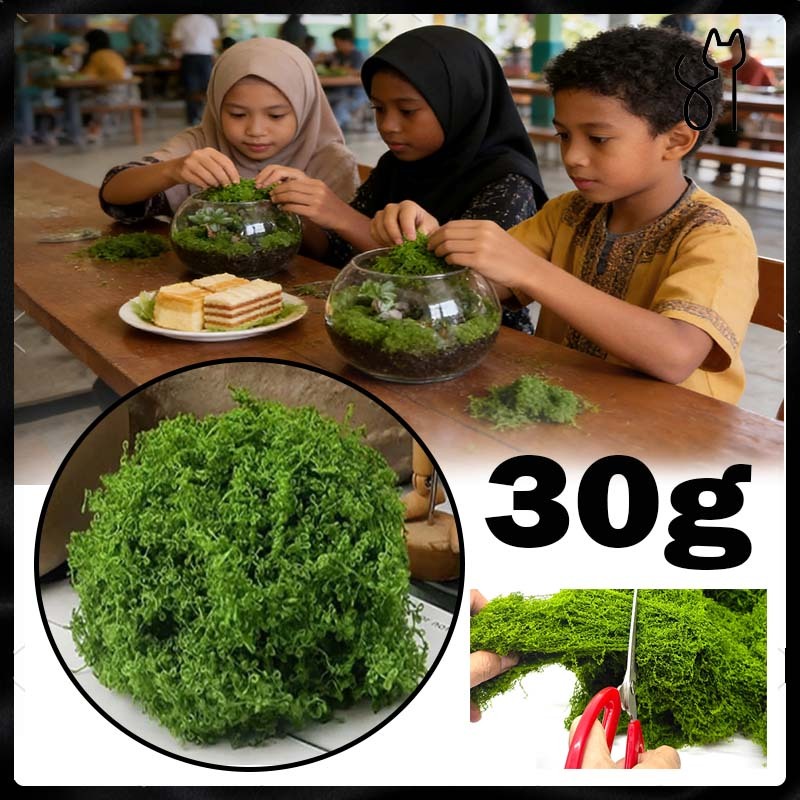 Moss Aquascape Sintetis Lumut Sintesis Lumut Buatan Untuk Aquascape Lumut Awetan Lumut Abadi Moss Si