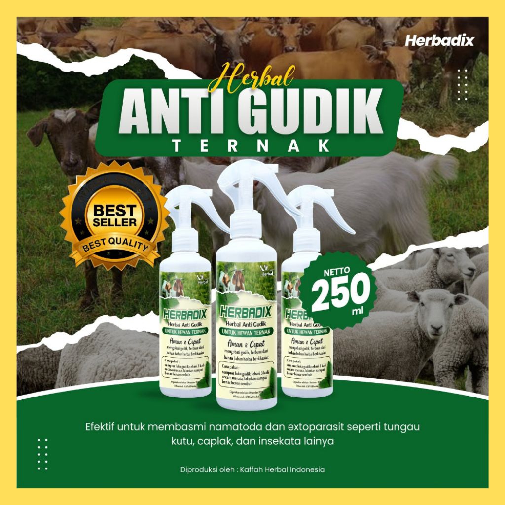 TERPERCAYA  Obat Gudik Kambing Etawa, Obat Gudik Kambing Herbal, Obat Gudik Kambing Manjur