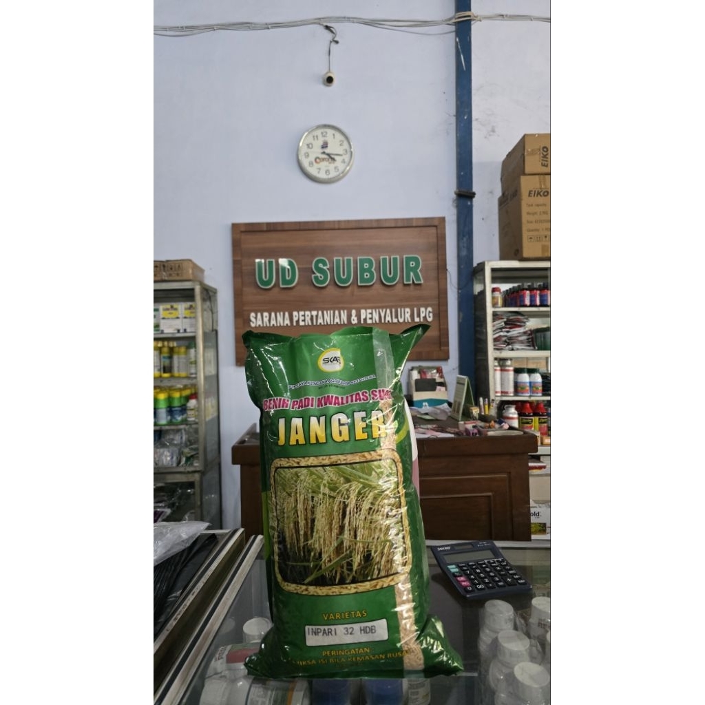 BENIH PADI INPARI 32 HDB JANGER (Berat bersih: 5kg)