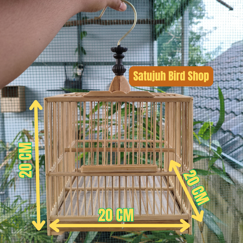 Sangkar Burung Kecil Murah | Sangkar Burung Untulan | Sangkar Burung Prenjak Ciblek Pleci Sogon Koni