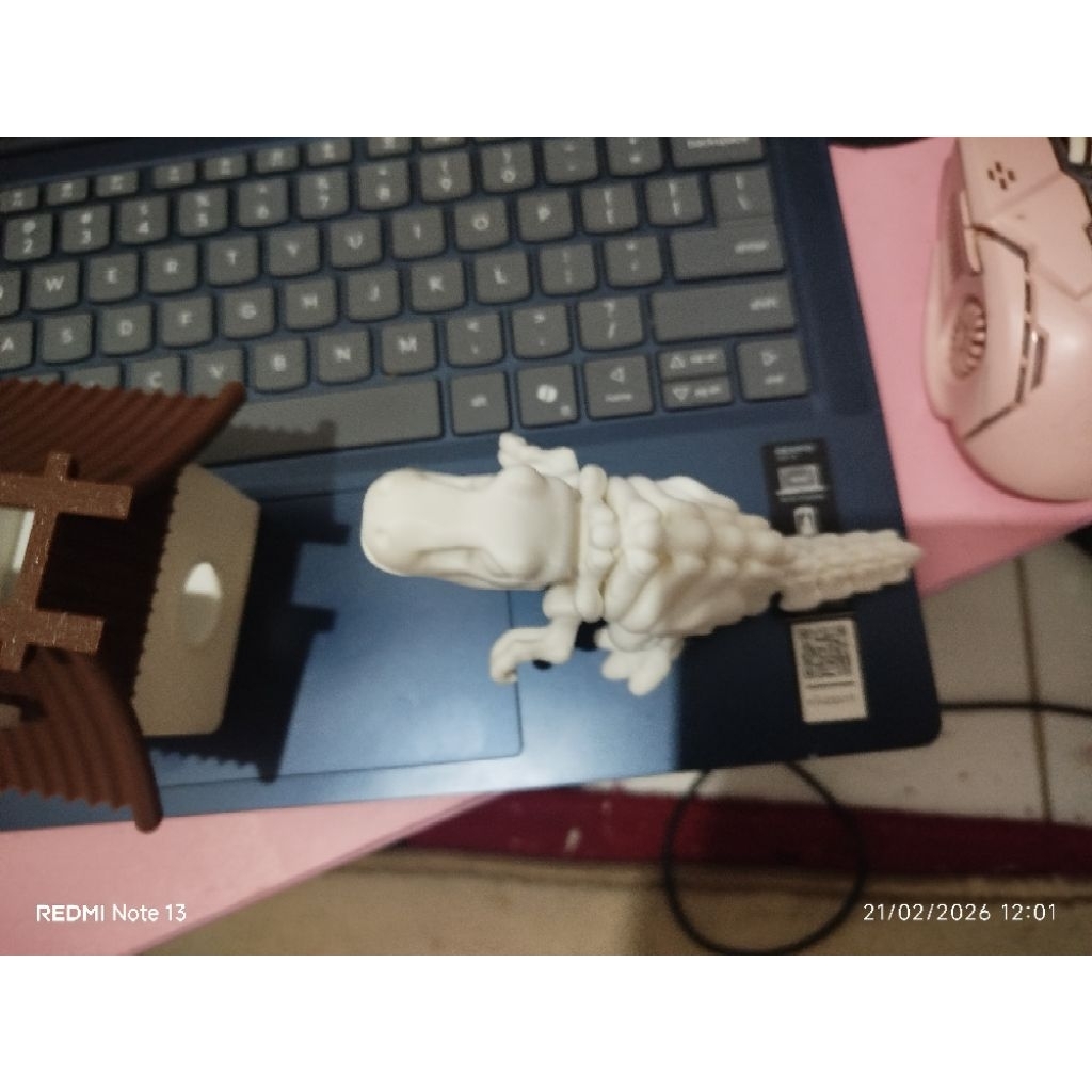 Dinosaurus T-Rex Skeleton