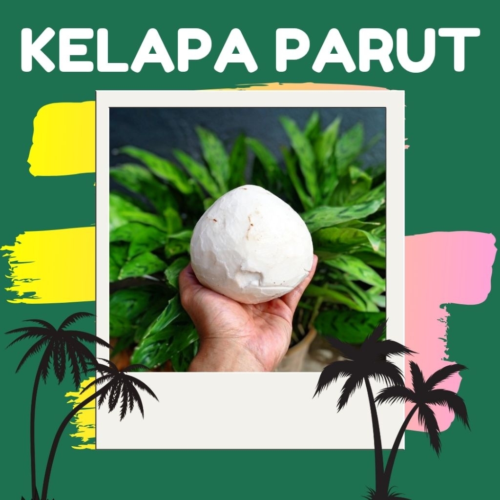 Kelapa Parut  / Kelapa / Santan / Santan Kelapa.