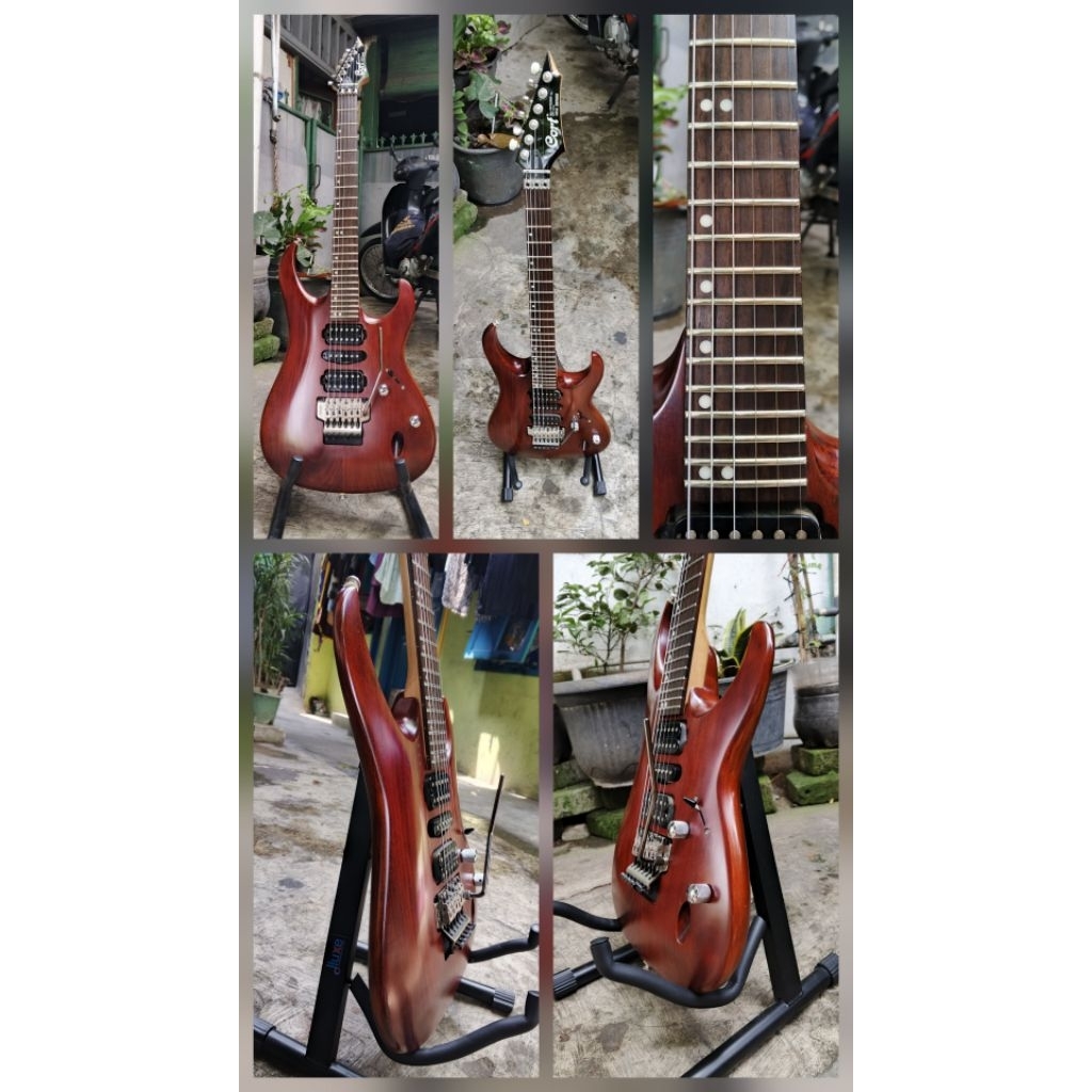 gitar Cort viva gold ii Original