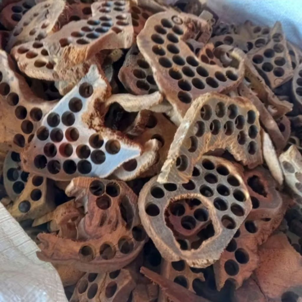 Limbah kayu gaharu untuk bukhur kayu gaharu 1 kg