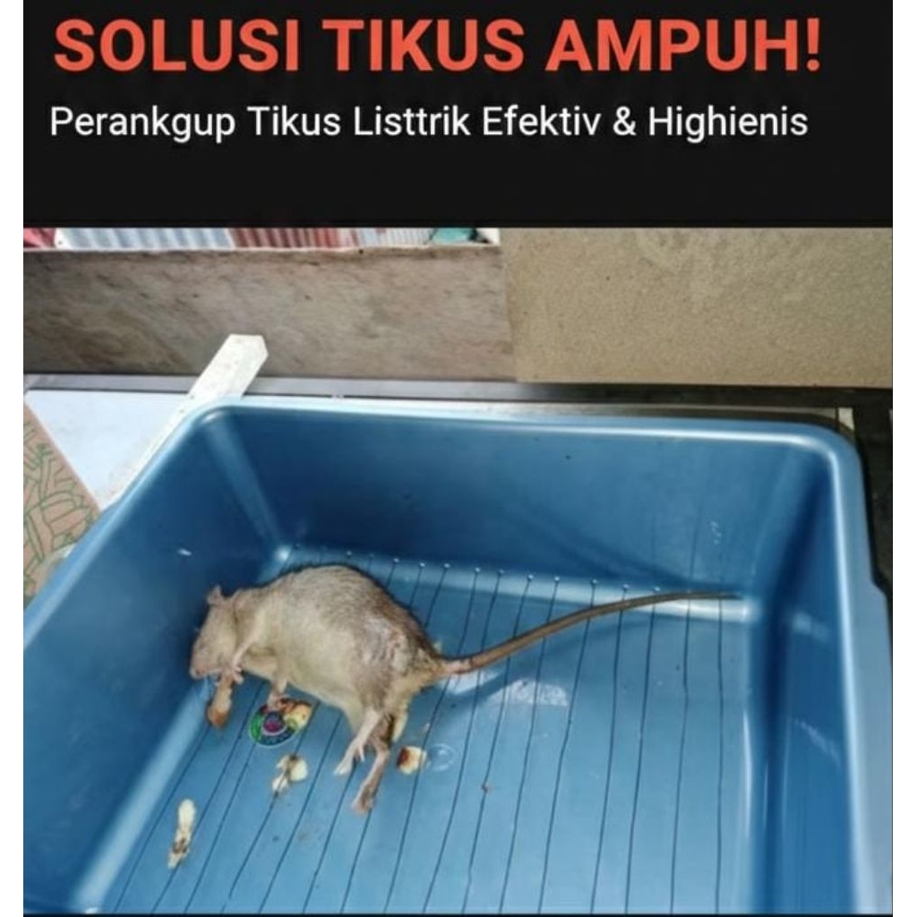 jebakan tikus listrik ampuh pembasmi hama tikus