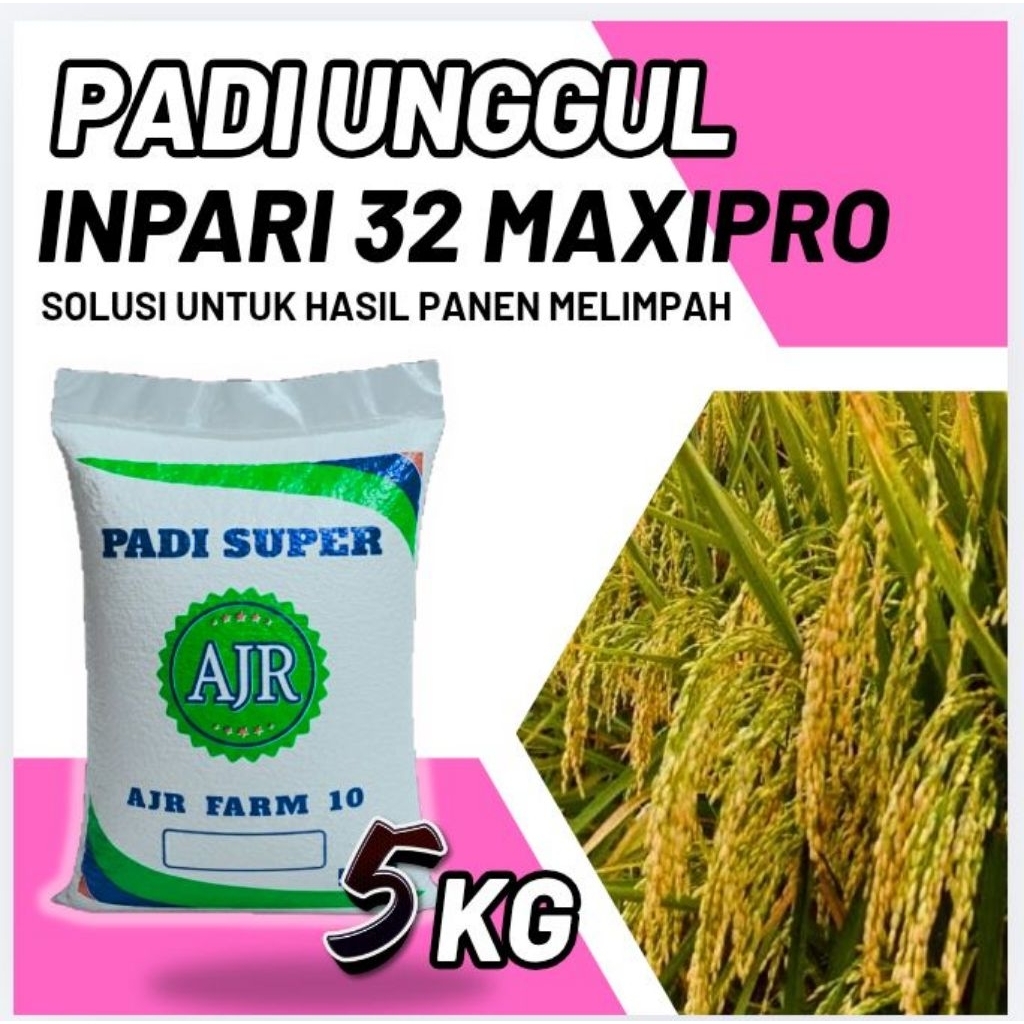Benih padi unggul INPARI 32 MAXIPRO