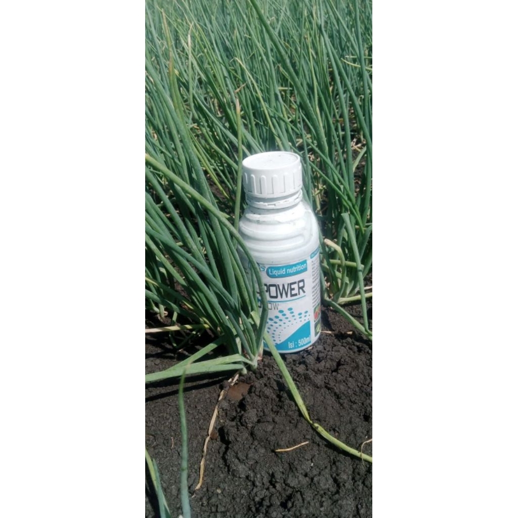 POWER GROW PUPUK PELENGKAP CAIR