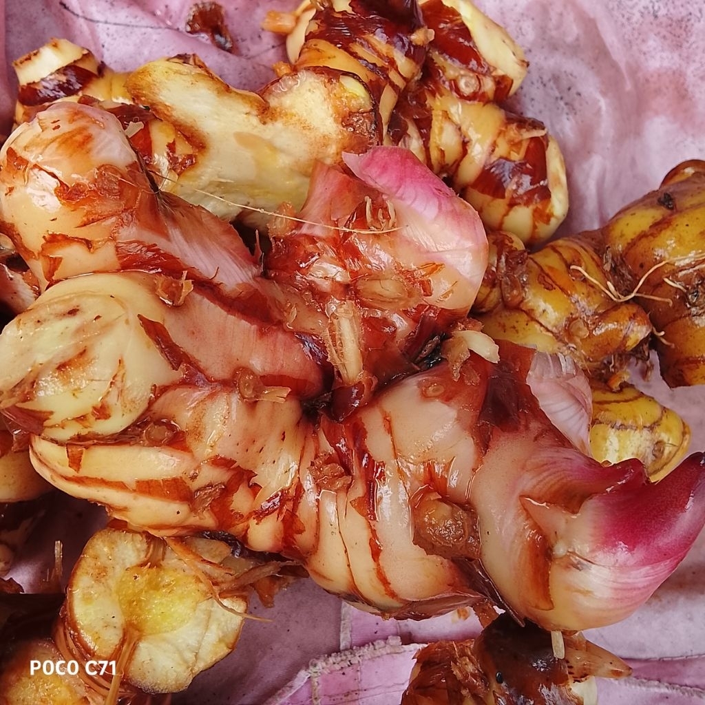lengkuas laja putih 1kg