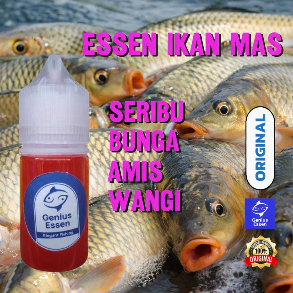 Essen Ikan Mas Aroma Seribu Bunga Amis Wangi Genius Essen