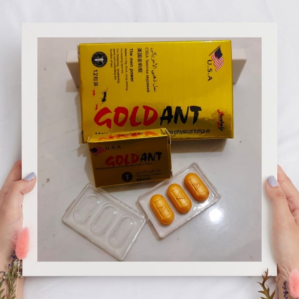 GOLD ANT ASLI ORIGINAL ISI 12 BUTIR MENAMBAH STAMINA PRIA OBAT HERBAL VITALITAS TAHAN LAMA KUAT