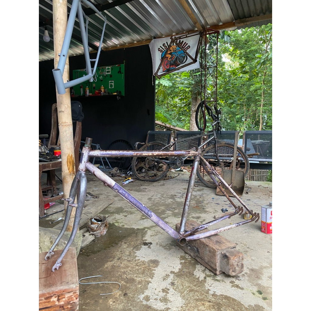 frame original federal streetcat size 19,5