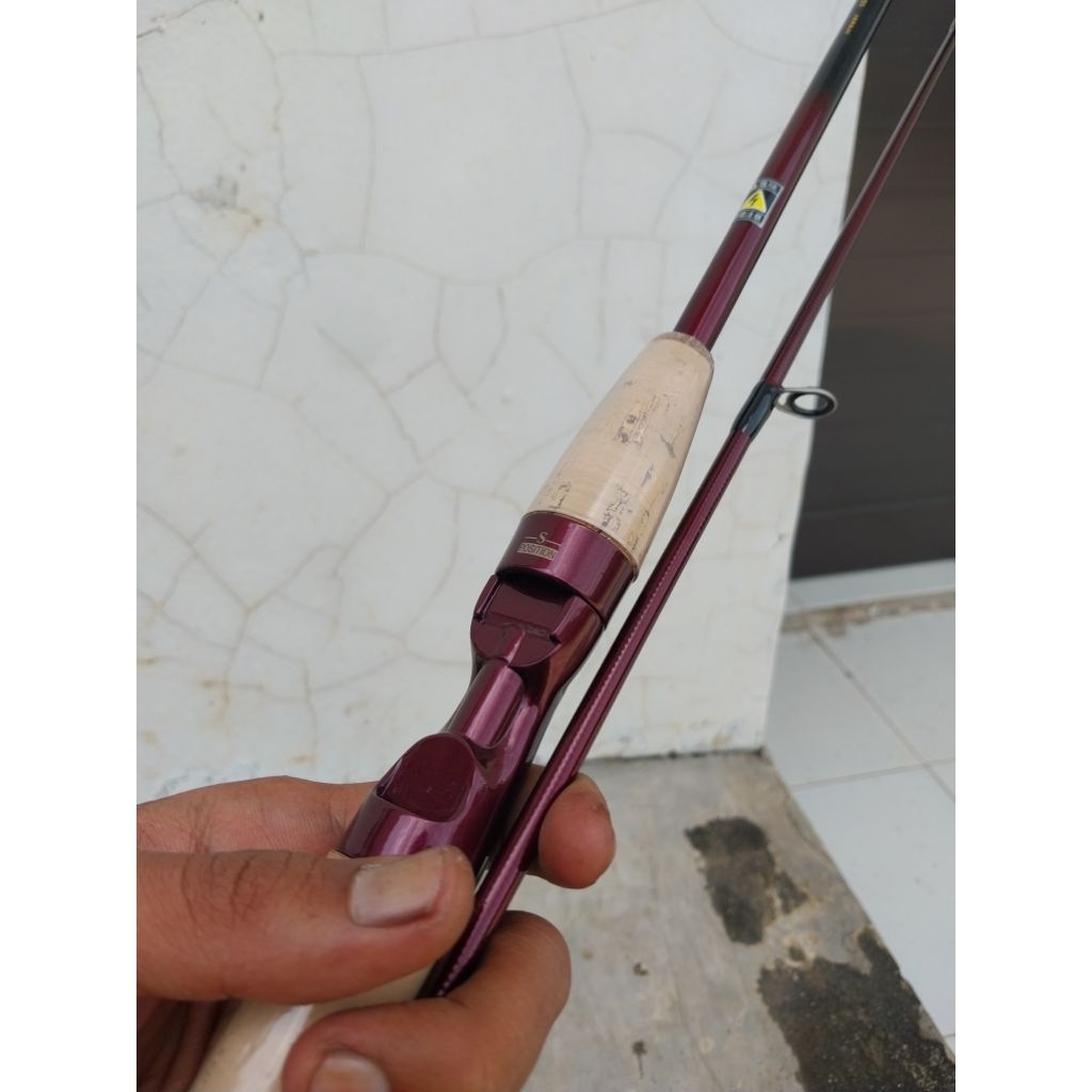 Joran Scorpion Ev Custom