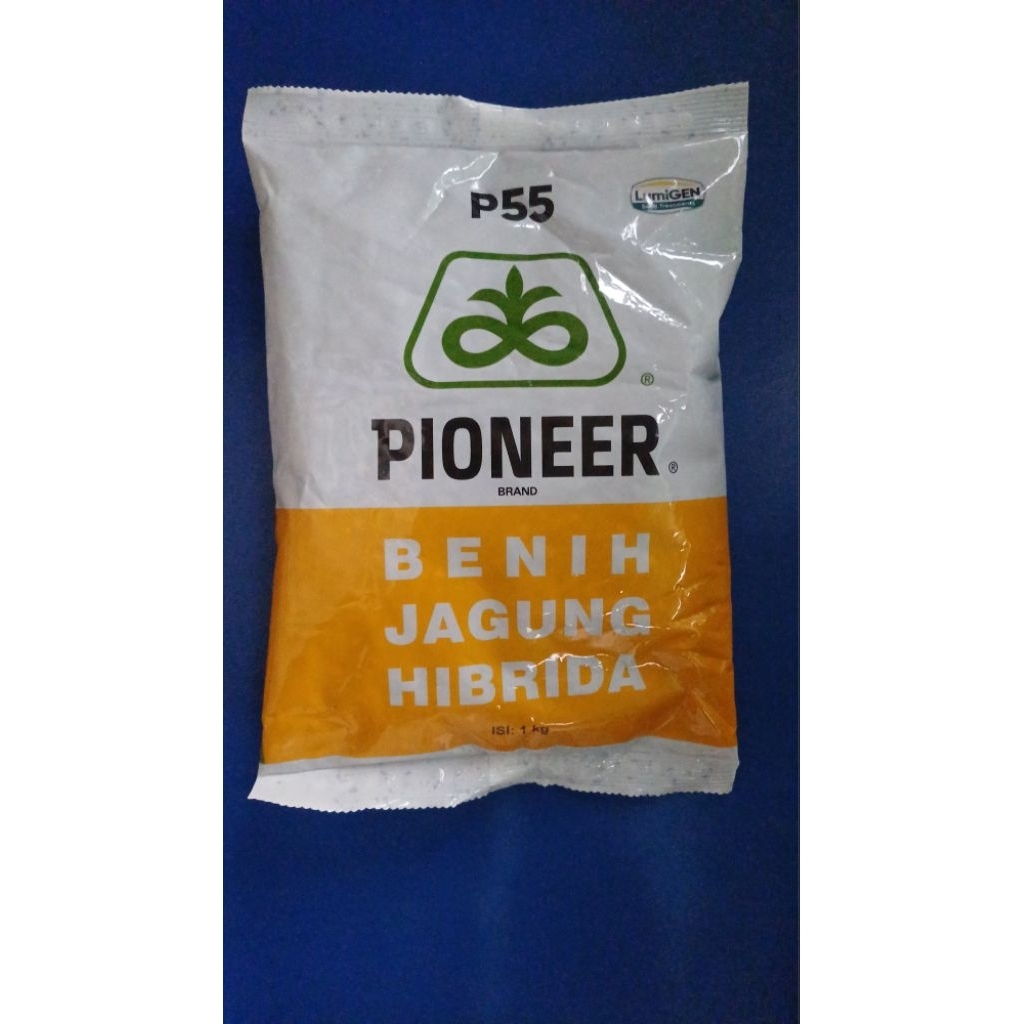 Benih Jagung Pioneer P55 Hibrida