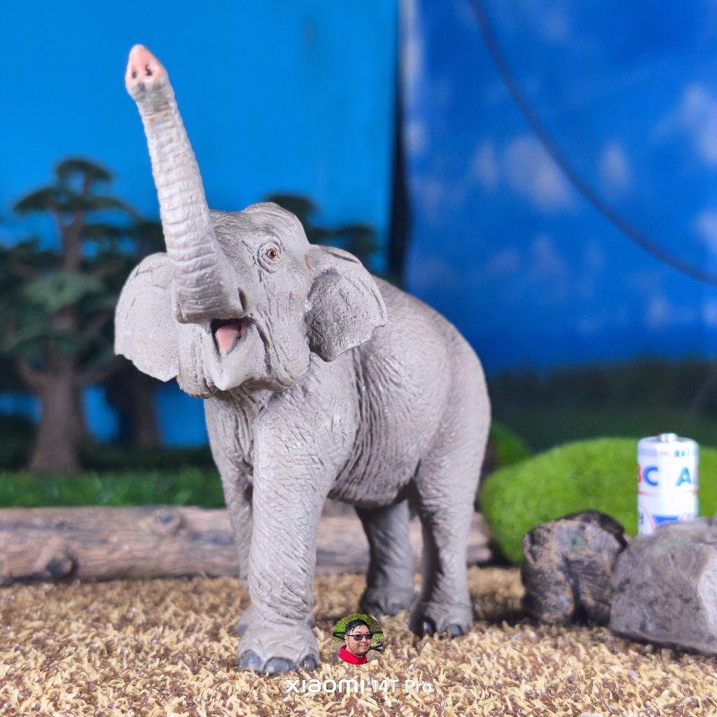 Safari Ltd 2010 Asian Elephant figure