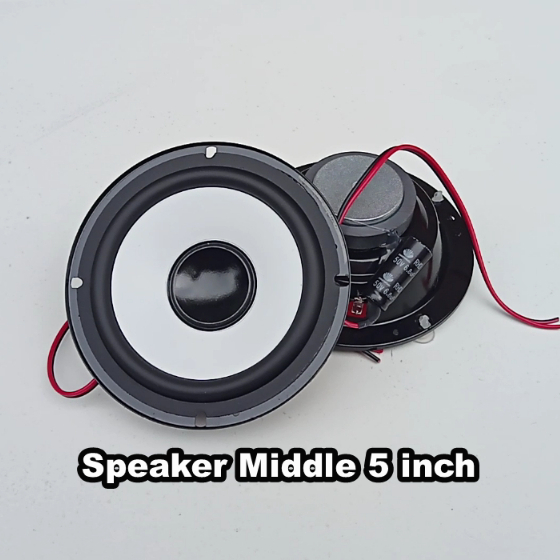 speaker middle polytron pas 8bf22 ori baru garansi 1thn
