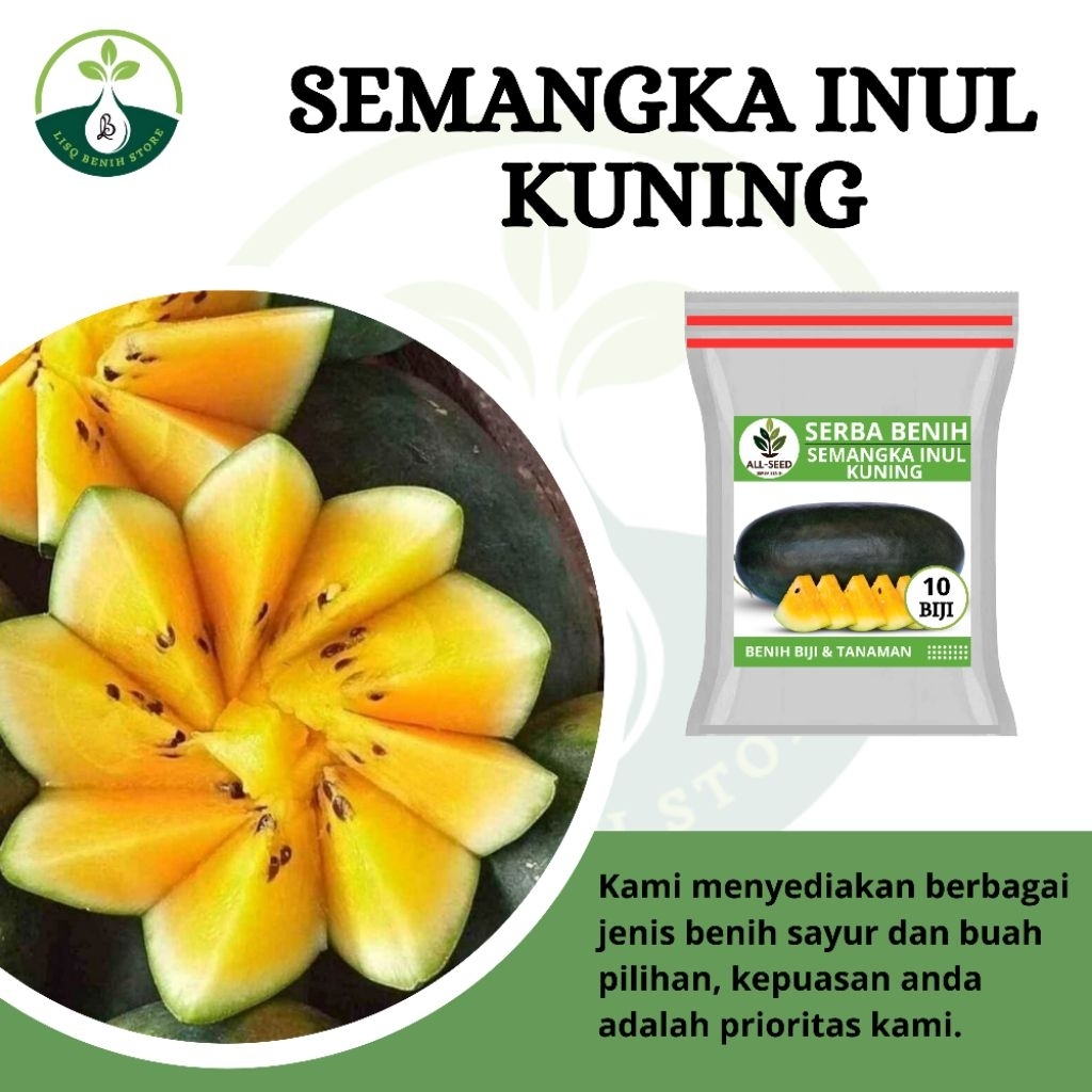 { 10 BIJI } Benih semangka Inul kuning / bibit semangka kuning / semangka inul kuning