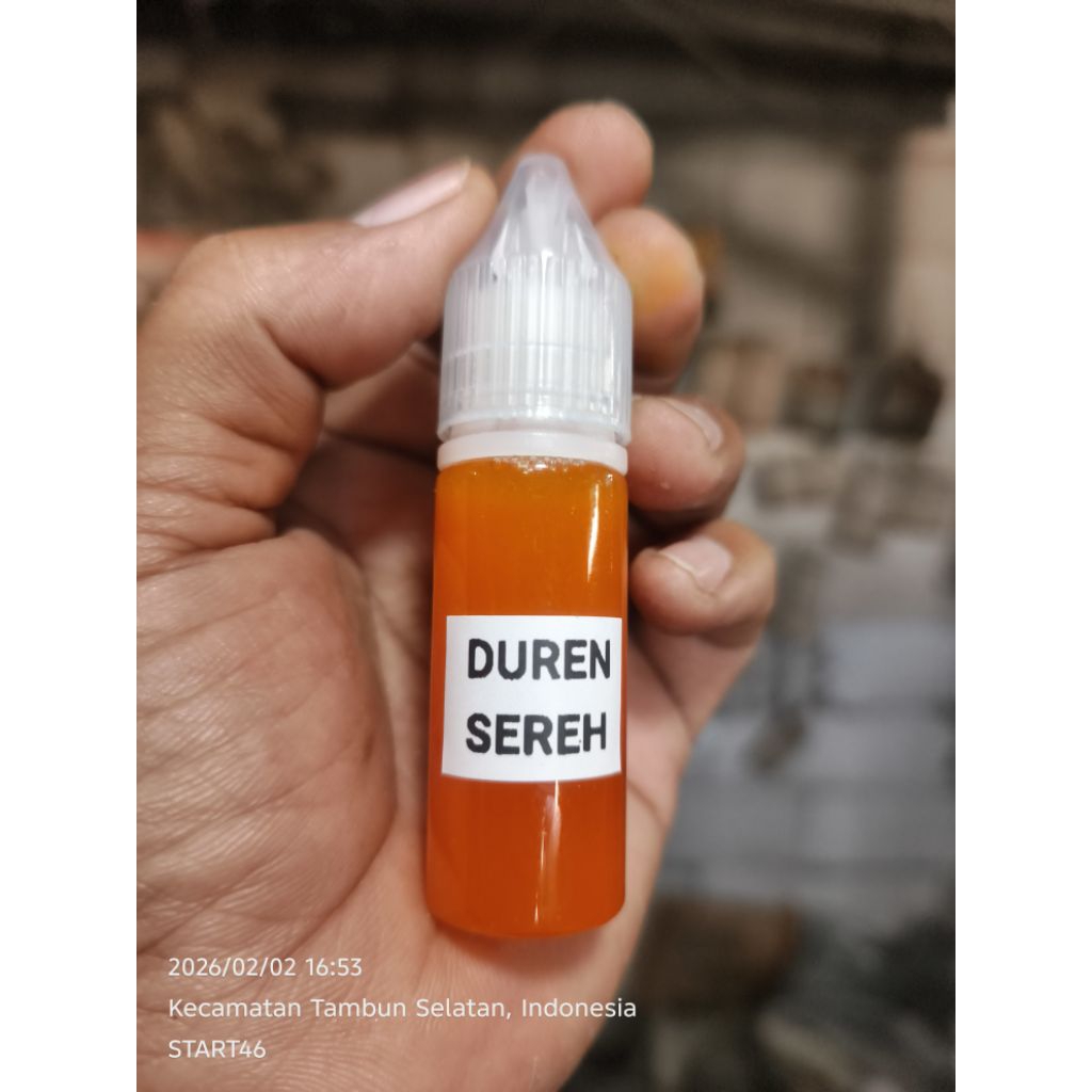 ESEN OPLOSAN DUREN SEREH UMPAN IKAN MAS SIAP PAKAI