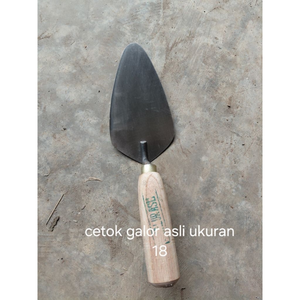 cetok galur asli