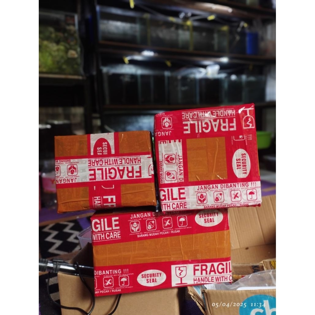 box channa maru cabung